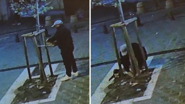 Vitrin görünmüyor diye ağacı kesti! Her şey saniye saniye kaydedildi