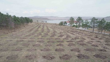 DSİ ve Orman iş birliğiyle Kars'ta baraj ve gölet çevreleri ağaçlandırılacak