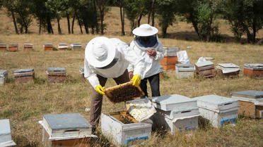 Muş'ta 710 arıcı, 290 bin kovandan yaklaşık 700 ton bal elde ederek hasadı tamamladı