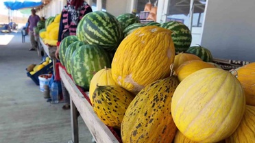 Tekirdağ Malkara'da Ahievrenli kadınlar ürünlerini 5 yıldır yöresel pazarda satıyor