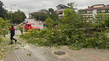 Bartın'da sağanak ve kuvvetli rüzgar ağaçları devirdi, asansörde 8 kişi kurtarıldı