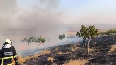 Batman'da itfaiye ekipleri OSB ile Danalı köyü arasındaki anız yangınını söndürdü