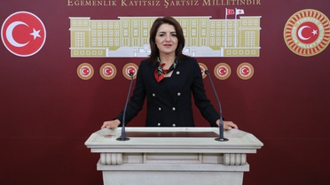 CHP'li Kış, Mersin narenciye ihracatı için Meclis Araştırması istedi
