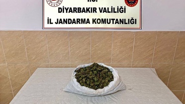 Diyarbakır'da 253 bin 752 kök kenevir ele geçirildi, 25 şüpheliye işlem yapıldı