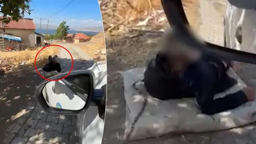 Yaşlı adamı ellerini zincirleyip ağaca bağladılar