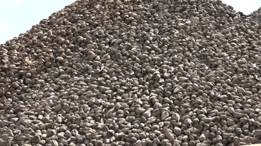 Malatya Şeker Fabrikası 75 bin ton pancar teslim alıp 5 bin 500 ton şeker üretti