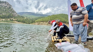Mersin'de 9 ilçede 17 göl ve gölete 347 bin yavru sazan bırakıldı
