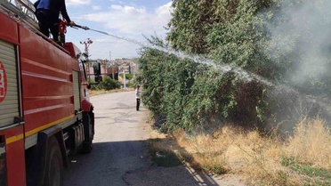 Van Özalp'te bahçedeki yangın, evlere sıçramadan itfaiye ekiplerince söndürüldü