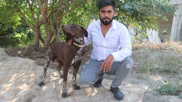 Bunu yapan insan olamaz! Köpeğe öldüresiye şiddet kamerada 