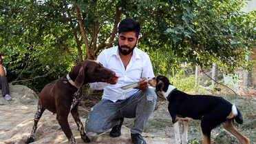 Sarıçam'da inşaatta uyuyan köpeğe sopalı saldırı: Komşu 'tavuklarımı yedi' savunmasıyla serbest bırakıldı