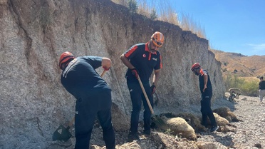 Adıyaman Kahta'da toprak altında kalan 9 küçükbaştan 6'sı telef oldu, 3'ü kurtarıldı
