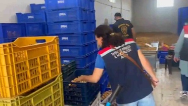 Aydın Köşk'te 20 milyon TL'lik 25 ton etiketsiz kuru incire 236 bin TL ceza uygulandı