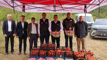 Bilecik Valisi Sözer, Osmaneli'de barbunya hasadına katıldı, 4 bin 500 ton bekleniyor