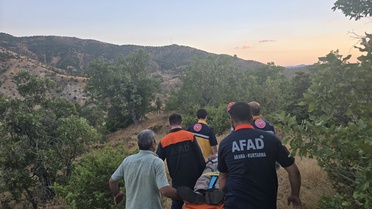 Bingöl Genç'te palamut toplarken kaybolan kişi ormanda sağ bulundu
