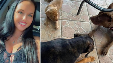 ABD'de iki çocuk annesi kadın, eşi tarafından köpeğiyle ilişkiye girerken yakalandı