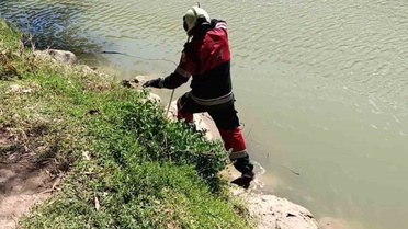 Hatay Reyhanlı'da göl kenarındaki yılan zarar verilmeden yakalanıp doğaya bırakıldı