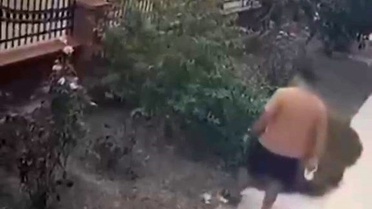 İzmir Bayraklı'da yavrulu kediye tekme atan şüpheliye 13 bin 32 TL ceza kesildi