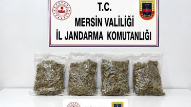 Mersin Toroslar'da operasyonda şüpheli tutuklandı, 2 kilo 100 gram esrar ele geçirildi