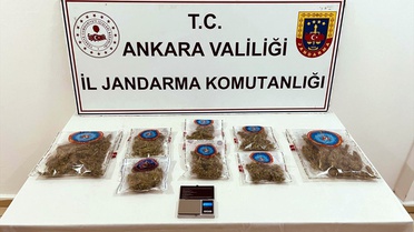 Ankara'da jandarma baskınlarında evde kenevir yetiştiren 4 şüpheli gözaltına alındı