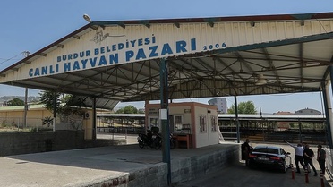 Burdur Belediyesi Canlı Hayvan Pazarı, şap hastalığı nedeniyle geçici kapatıldı