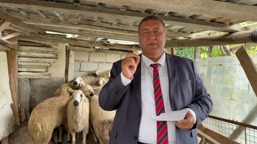 CHP'li Gürer, kırmızı et ve sütteki üretim kaybını rakamlarla aktardı