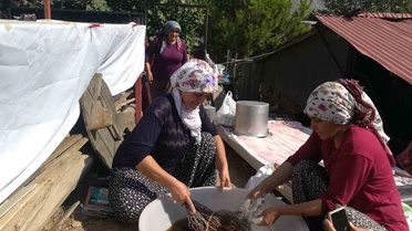 Kemaliye'de erkekler dut toplamada destek veriyor, kadınlar pestil ve pekmez yapıyor