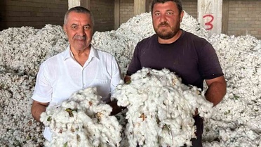 Gaziantep Araban'da pamuk hasadı başladı, ilk ürüne Cumhuriyet altını verildi