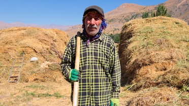 Hakkari'de besiciler kışlık yem hazırlığında otları patozdan geçirip depoluyor