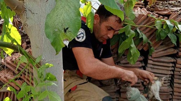 Hatay İskenderun'da vanada mahsur kalan yavru kedi sanayideki müdahaleyle kurtarıldı