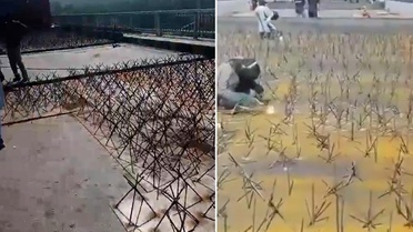 İmran Han'ın destekçilerine dikenli barikat