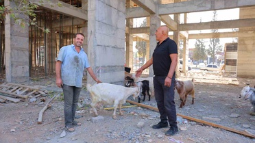Kahramanmaraş'ta inşaat alanında 9 keçi bulan esnaf, hayvanların sahibini arıyor