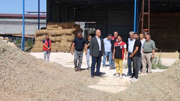 Muğla Yatağan'da Hasat Şenliği düzenlendi, Kaymakam İlhan üreticilerle buluştu