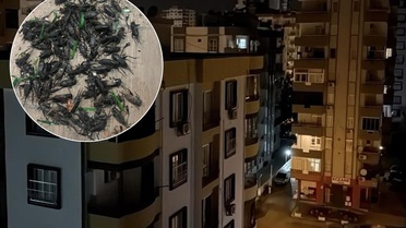 Şehirde kimse uyuyamıyor! Ses geceleri 100 desibele çıkıyor