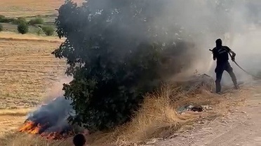 Adıyaman Kuştepe'de bahçede çıkan yangın söndürüldü, ölen ya da yaralanan olmadı