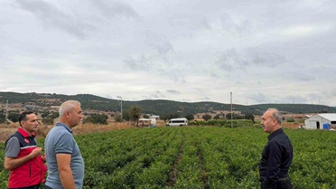 Balıkesir Karesi'de turşuluk biberiye tarlasını İl Tarım Müdürü Düzgün ziyaret etti