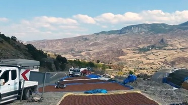Giresun'da yağış yüzünden fındığını kurutamayan üreticiler Şebinkarahisar'a yöneldi