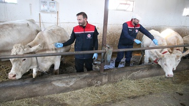 Kars'ta 100 kişilik aşı ekibi 9 ayda 1 milyon 870 binden fazla doz uyguladı