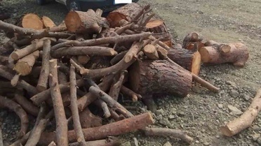 Kahramanmaraş Pazarcık'ta orman ekipleri kaçak emval tespit etti, araca el konuldu