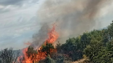 Çanakkale Ayvacık'ta makilik yangın ekipler ve köylülerin desteğiyle söndürüldü