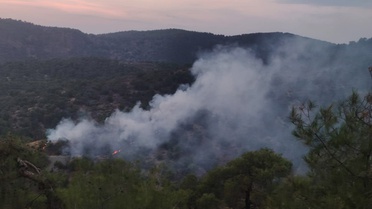 Gaziantep İslahiye'de orman yangını 3 saatte söndürüldü, 4 dönüm zarar gördü