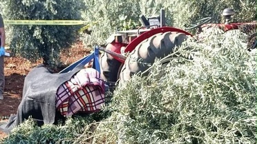İddiaya göre Şıh Mahsur'da traktörün arkasına düşen M.Ü. hayatını kaybetti