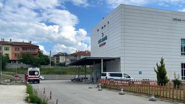 Kastamonu'da acı olay: Arı sokan orman işçisi hayatını kaybetti