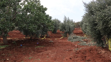 Kilis'te iddiaya göre traktöründen düşen 65 yaşındaki çiftçi hayatını kaybetti