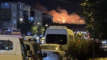 Kırklareli Lüleburgaz'da otluk yangın ağaçlık alana sıçradı, 2 saatte söndürüldü