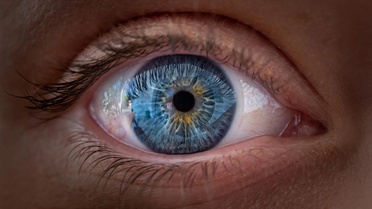 Yapay zeka retina taraması kronolojik yaşı 2,5-2,7 yıl hata payıyla tahmin etti