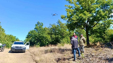 Afyonkarahisar Sultandağı'nda kaybolan 9 büyükbaş hayvan dronla sağ salim bulundu