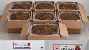 Antalya'nın Alanya ve Döşemealtı ilçelerinde 210 kg kıyılmış tütün ele geçirildi