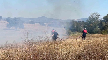 Çanakkale'de tarlada çıkan ot yangını bakım merkezi yakınında büyümeden söndürüldü