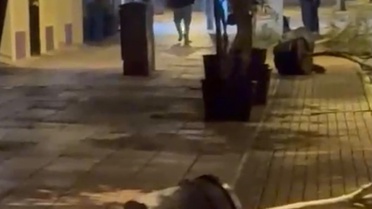Eskişehir Tepebaşı'nda saksıları deviren kişi cep telefonu kamerasına yakalandı