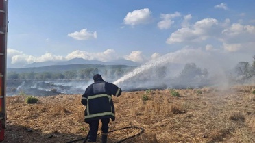 Hatay Hassa'da zeytinlik ve anız yangını sirayet etmeden kontrol altına alındı